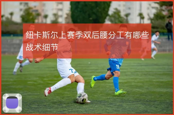 纽卡斯尔上赛季双后腰分工有哪些战术细节