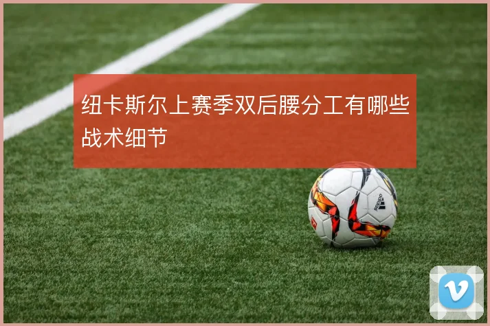 纽卡斯尔上赛季双后腰分工有哪些战术细节