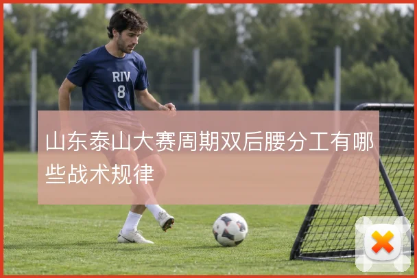 山东泰山大赛周期双后腰分工有哪些战术规律