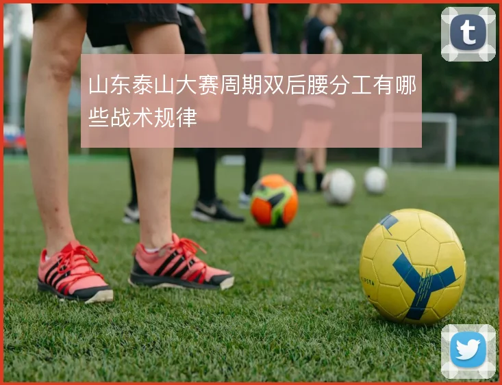 山东泰山大赛周期双后腰分工有哪些战术规律